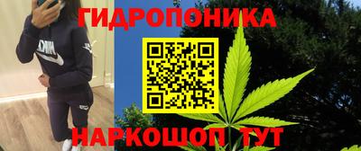 крисы Можайск