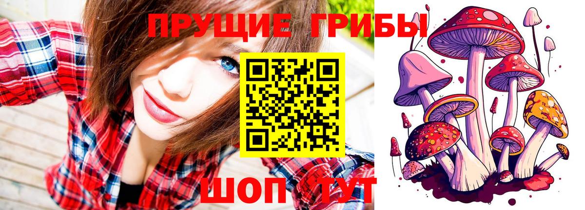МЕФ Великий Устюг