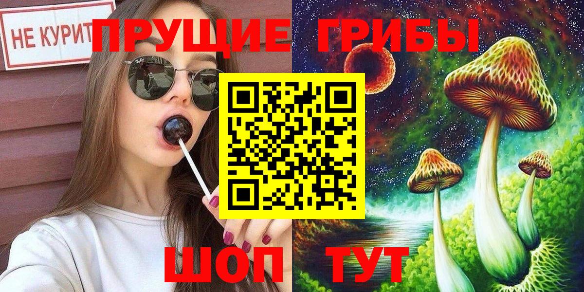 Великий Устюг  Галлюциногенные грибы Psilocybine cubensis  Вход с VPN  Псилоцибиновые грибы Psilocybe 