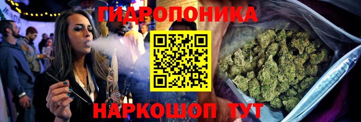 Великий Устюг  Бошки марихуана LSD WEED  Вход с VPN  Бошки марихуана White Widow  МАРИХУАНА VHQ  Бошки Шишки Bruce Banner 